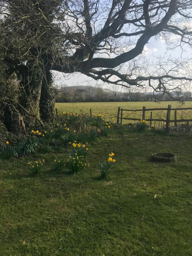 The Old Flower Field Hurstpierpoint 外观 照片